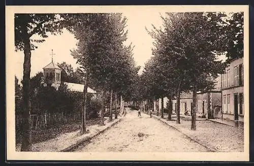 AK Mesgrigny, L`Église et avenue bordée d`arbres