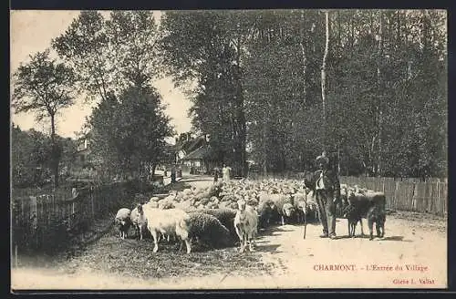 AK Charmont, L`Entrée du village avec troupeau de moutons et berger