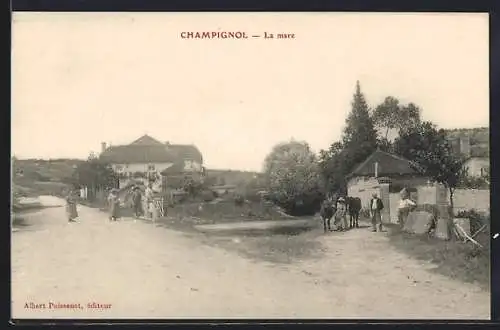 AK Champignol, La mare