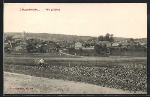 AK Champignol, Vue générale