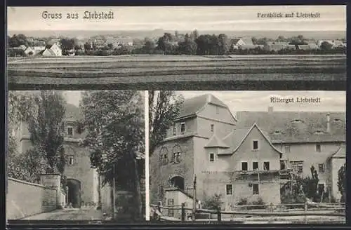 AK Liebstedt, Rittergut, Rittergut, Fernblick auf den Ort