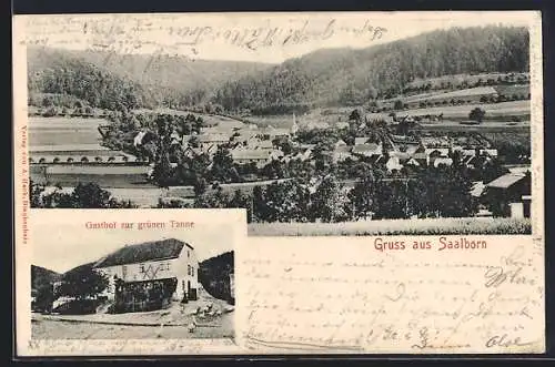 AK Saalborn, Gesamtansicht mit Umgebung, Gasthof zur grünen Tanne
