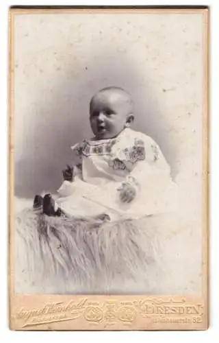 Fotografie August Weinhold, Dresden, Pfotenhauerstrasse 32, Porträt eines Kleinkindes