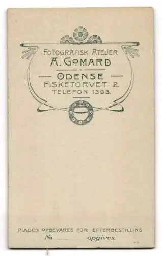 Fotografie A. Gomard, Odense, Fisketorvet 2, Dame in elegantem Kleid