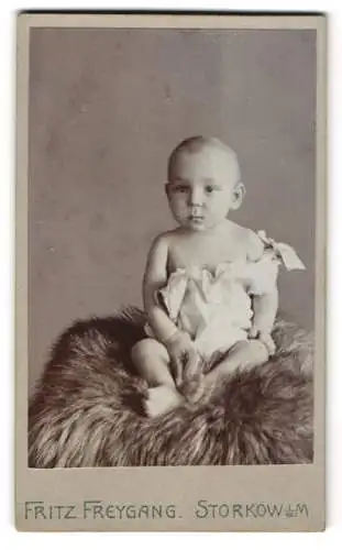 Fotografie Fritz Freygang, Storkow, Porträt eines Kleinkinds auf einem Fell