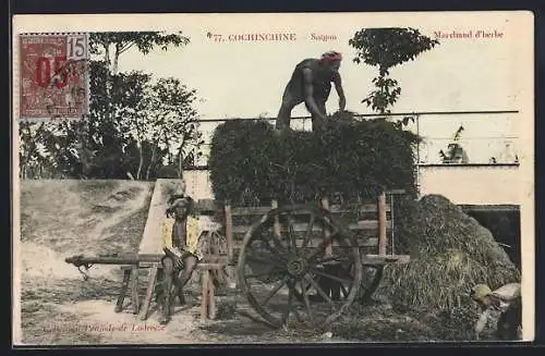 AK Saigon /Cochinchine, Marchand d`herbe