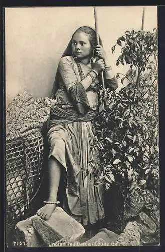AK Indian Tea Garden Coolie Girl