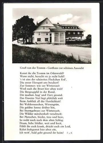 AK Tromm, Strassenpartie am Gasthaus & Pension Zur schönen Aussicht