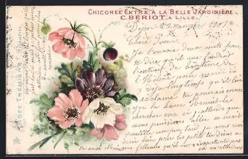 AK Reklame für Chicoree Extra, Belle Jardiniere