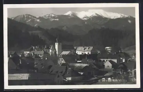 AK St. Aegyd, Panorama