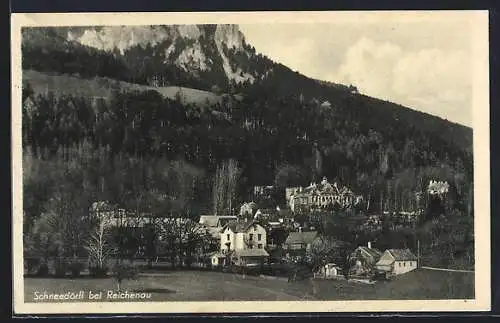 AK Schneedörfl b. Reichenau, Ortsansicht mit Bergpanorama