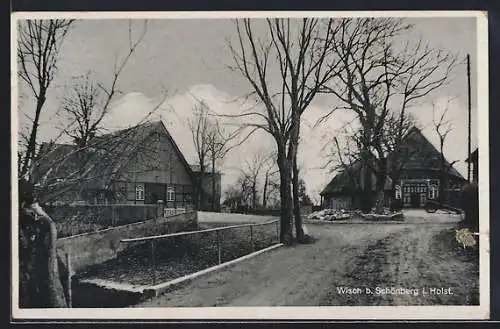 AK Wisch b. Schönberg i. Holst., Strassenansicht mit Fachwerkhäusern