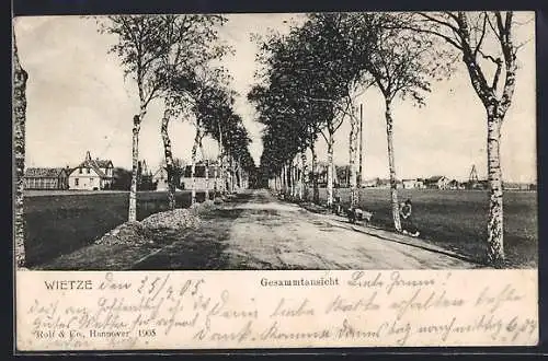 AK Wietze / Steinförde, Gesamtansicht mit Landstrasse