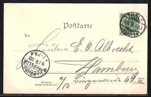 Lithographie Wernigerode, Rathaus, Kaiser Wilhelm Denkmal, Schloss