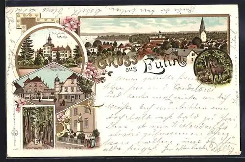 Lithographie Eutin, Hotel Voss-Haus, Voss-Denkmal, Grossherz. Schloss