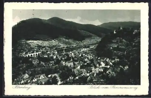 AK Hornberg / Schwarzwaldbahn, Blick vom Panoramaweg auf den Ort