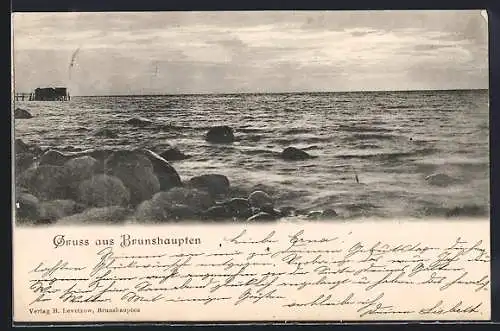 AK Brunshaupten, Seeblick vom Ufer aus