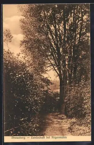 AK Strausberg, Landschaft bei Hegermühle