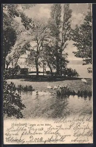 AK Hamburg-St.Georg, Partie an der Alster