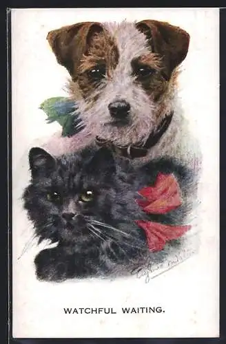 Künstler-AK sign. Valter: Hund und Katze harmonisch beieinander