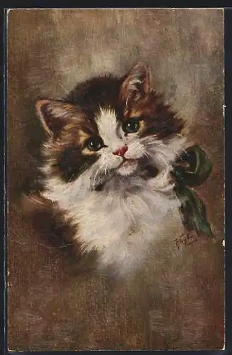 AK Junge Katze mit Schleife