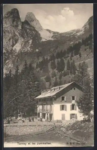 AK Tanney, les Jummelles