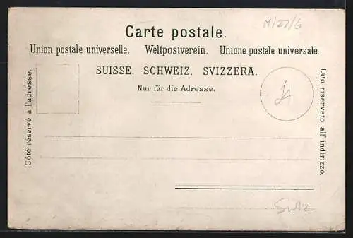 Lithographie Zürich, Zürcherin und das Landesmuseum, Wappen, Neujahrsgruss