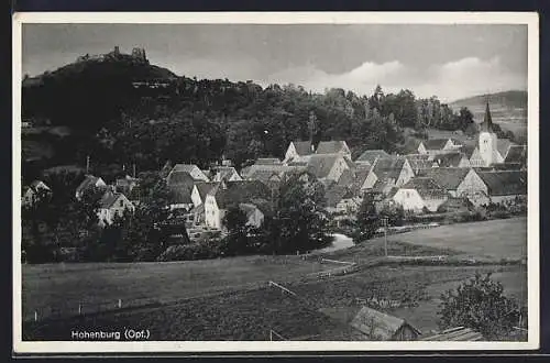 AK Hohenburg / Opf., Gesamtansicht