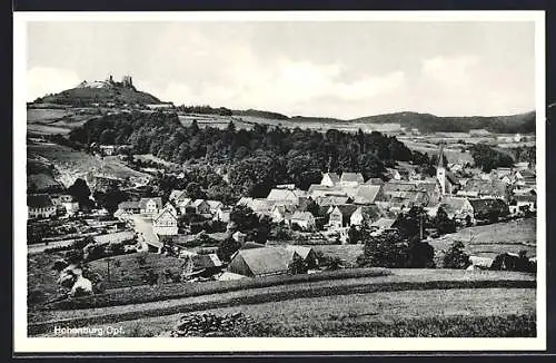 AK Hohenburg / Opf., Totale des Ortes