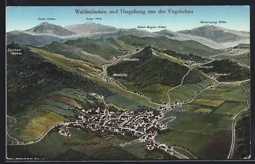 Künstler-AK Eugen Felle: Waldmünchen, Ortsansicht mit Umgebung aus der Vogelschau