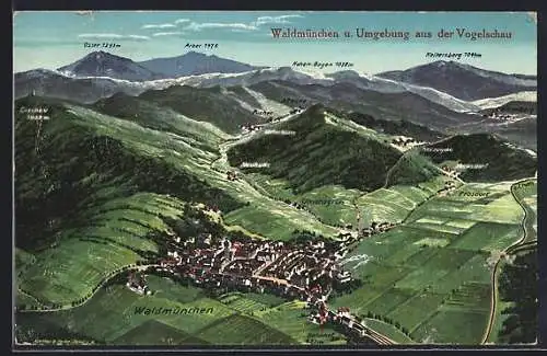 Künstler-AK Eugen Felle: Waldmünchen, Umgebung aus der Vogelschau