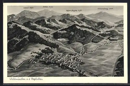 AK Waldmünchen, Ort aus der Vogelschau, Bergpanorama mit Aber, Osser