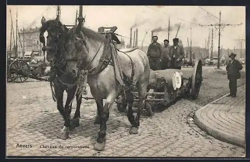 AK Anvers, Chevaux de Corporations, Pferdegespann in den Strassen von Antwerpen
