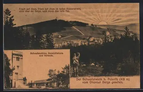 AK Steina, Turm & Gasthaus Schwedensteine mit Aussichtsturm und Veranda