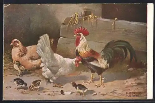 AK Hahn mit Hennen und Küken in einem Stall