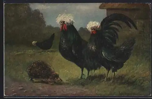 AK Hühner begegnen einem Igel