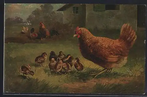 AK Hühner und Kükenschar vor einem Gebäude