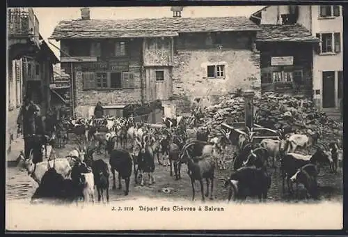 AK Salvan, Départ des Chèvres