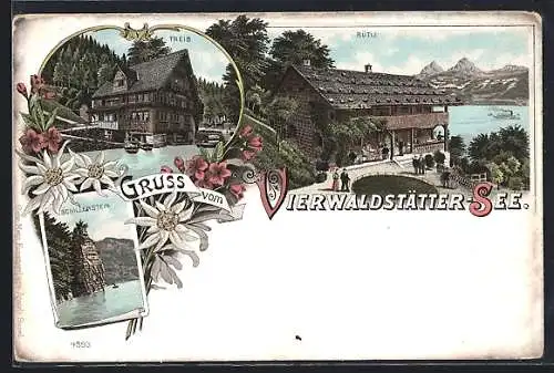 Lithographie Treib a. Vierwaldstättersee, Teilansicht, Rütli, Schillerstein