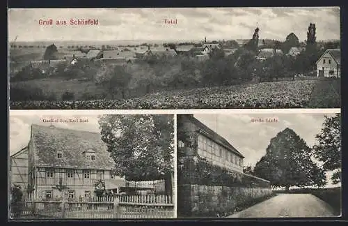 AK Schönfeld / Milkau, Gasthof Karl Rost, Grosse Linde, Totalansicht mit Acker