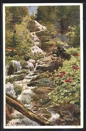 Künstler-AK E.F. Hofecker: Deutscher Schulverein Nr. 424, Partie am Wasserfall