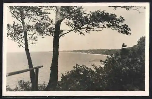 AK Rauschen, Blick auf die Ostsee mit Steilküste