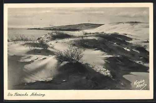 AK Kurische Nehrung, Blick auf Sanddünen und das Haff