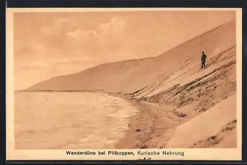 AK Pillkoppen /Kurische Nehrung, Wanderdüne und Ostseestrand