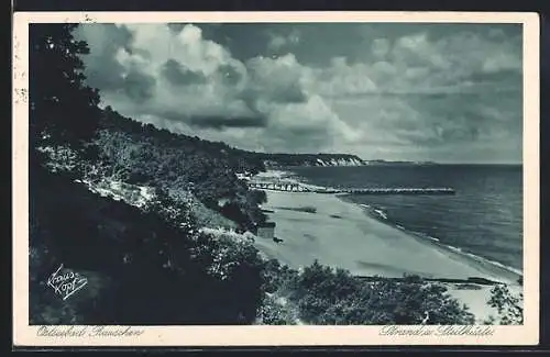 AK Rauschen, Strand und Steilküste mit Buhne