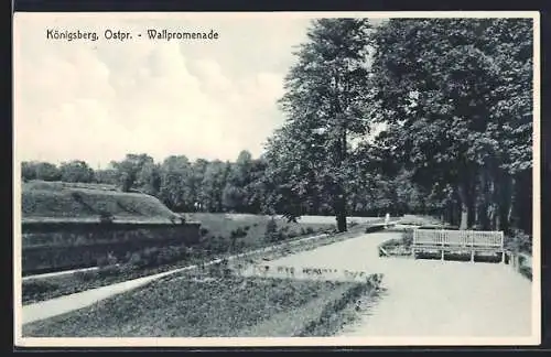 AK Königsberg /Ostpr., Wallpromenade mit Ruhebänken