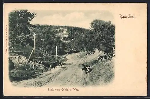 AK Rauschen, Blick vom Cobjeiter Weg