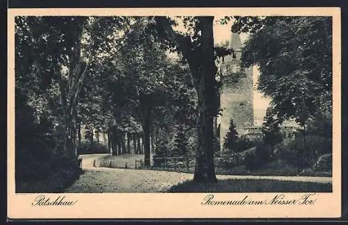 AK Patschkau, Promenade am Neisser Tor