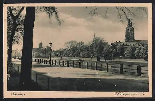AK Breslau, Holteipromenade mit Blick zur Kirche