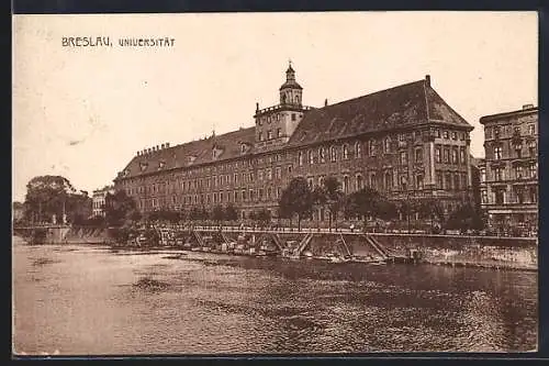 AK Breslau, Die Universität mit Fluss